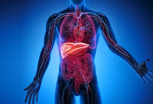 Foto - Karaciğeri temizleyen 15 gıda