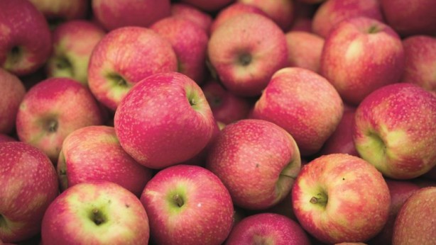 Foto - Karaciğeri temizleyen 15 gıda