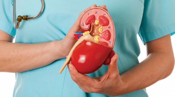 Foto - Karaciğeri temizleyen 3 doğal içecek