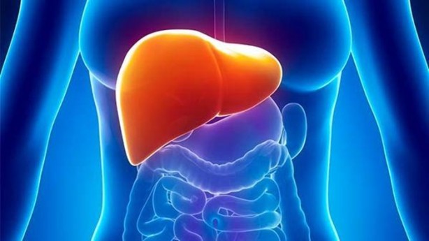 Karaciğeri temizleyen besinler