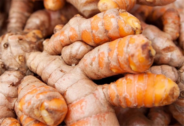 Foto - Karaciğeri temizliyorlar!