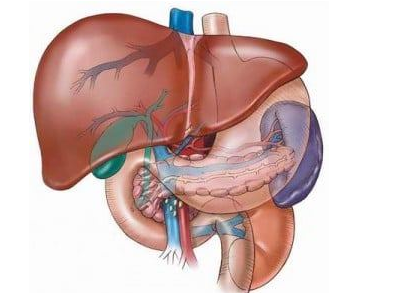 Foto - Karaciğeri yeniler ve göbeğinizi dümdüz yapar: Çok güçlü sağlayan tüyo bakın ne? Bir dizi öneriler