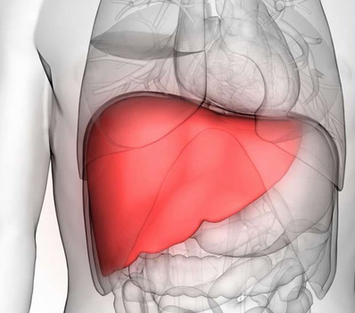 Foto - Karaciğeri yeniler ve göbeğinizi dümdüz yapar: Çok güçlü sağlayan tüyo bakın ne? Bir dizi öneriler