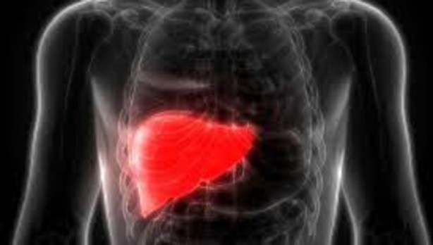 Foto - Karaciğerin sağlıklı olup olmadığını gösteren 10 işaret