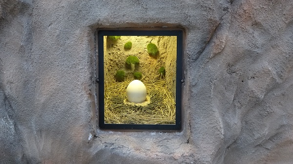 Foto - Karadeniz Bölgesi'nde bir ilk