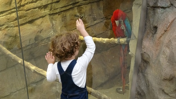 Foto - Karadeniz Bölgesi'nde bir ilk