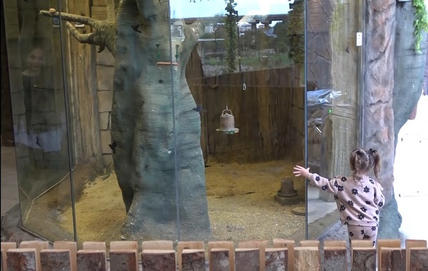 Foto - Karadeniz Bölgesi'nde bir ilk