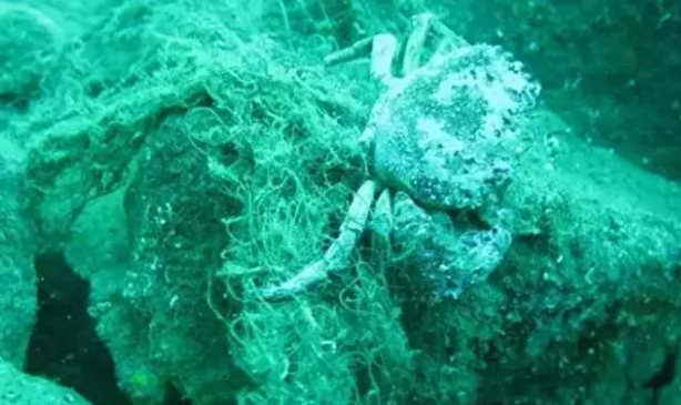 Foto - Karadeniz bölgesinde müthiş keşif: Hayalet ağ ararken bulundu! 50 metre derinlik ve 53 metre uzunluğunda