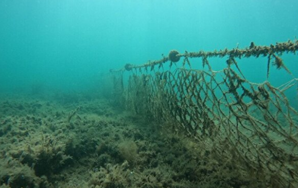 Foto - Karadeniz bölgesinde müthiş keşif: Hayalet ağ ararken bulundu! 50 metre derinlik ve 53 metre uzunluğunda