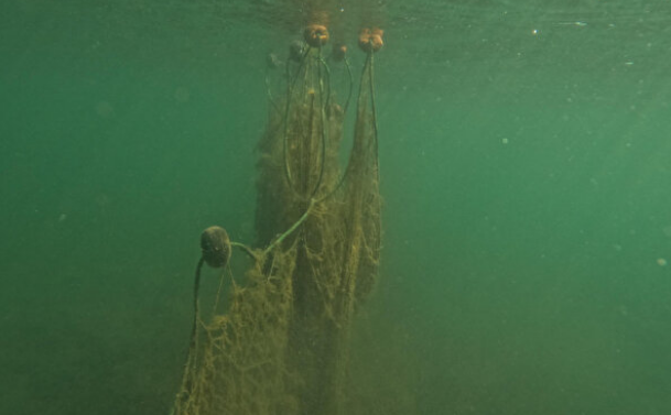 Foto - Karadeniz bölgesinde müthiş keşif: Hayalet ağ ararken bulundu! 50 metre derinlik ve 53 metre uzunluğunda