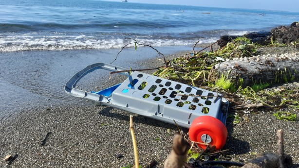 Foto - Karadeniz kirlenmeye devam ediyor! Büyük artış