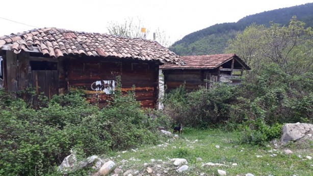 Foto - Karadeniz köylerindeki geleneksel 'Kandil Evler' zamana direniyor