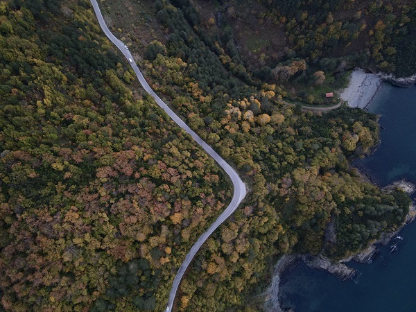 Foto - Karadeniz sonbahar renklerine boyandı! 