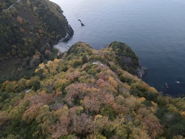 Foto - Karadeniz sonbahar renklerine boyandı! 