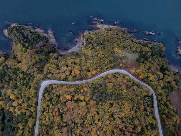 Karadeniz sonbahar renklerine boyandı! 
