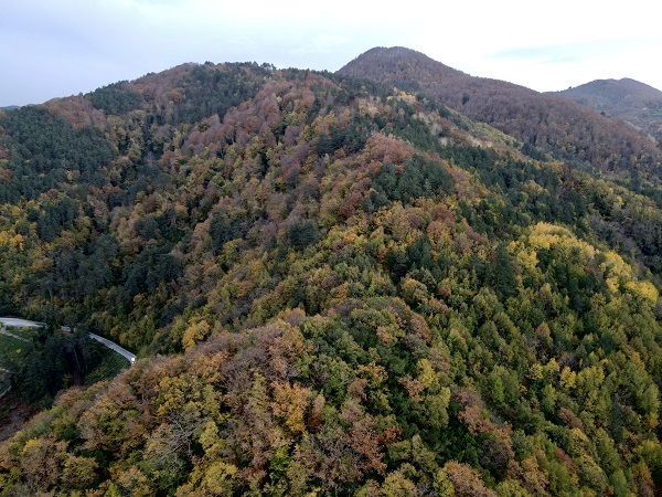 Foto - Karadeniz sonbahar renklerine boyandı! 