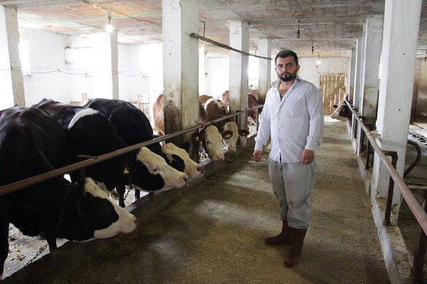 Foto - Karadeniz zekasının örneği! Bakın bu apartmanda kim yaşıyor