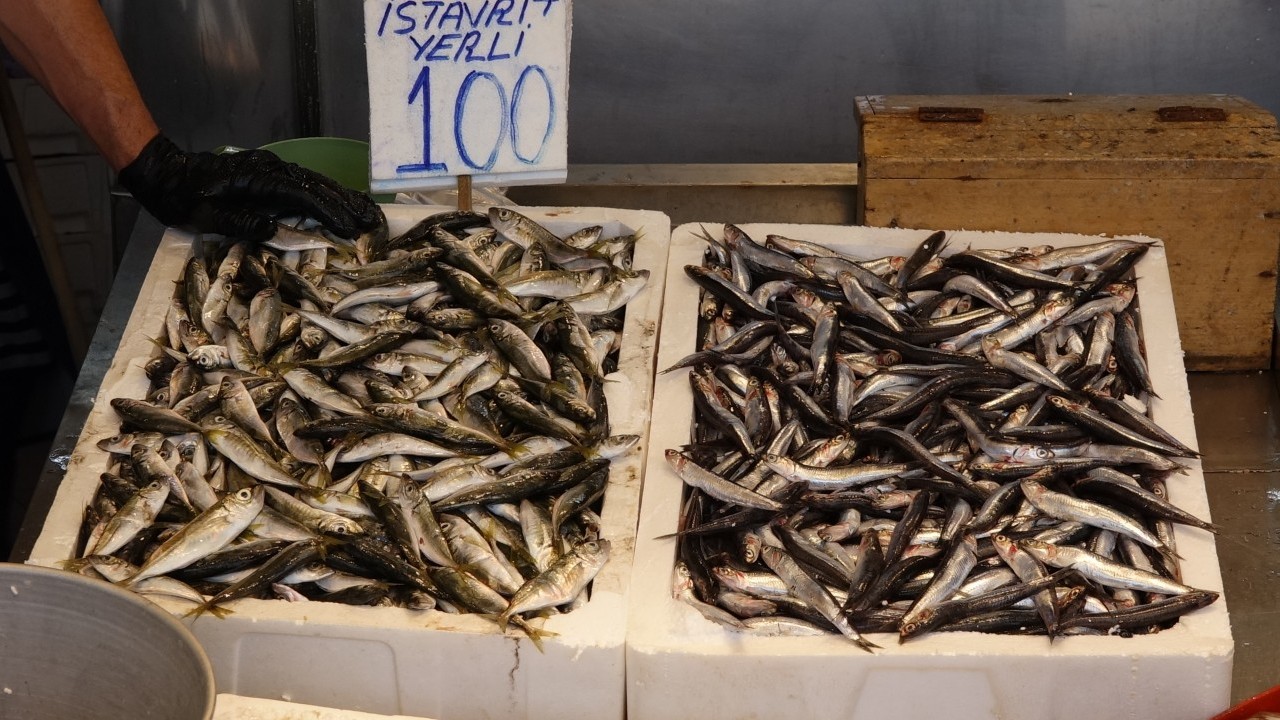 Foto - Karadeniz’de balık bereketi! Av yasağı bitti, tezgahlar şenlendi