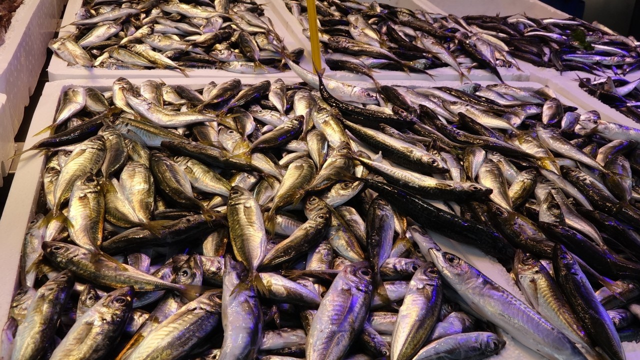 Foto - Karadeniz’de balık bereketi! Av yasağı bitti, tezgahlar şenlendi