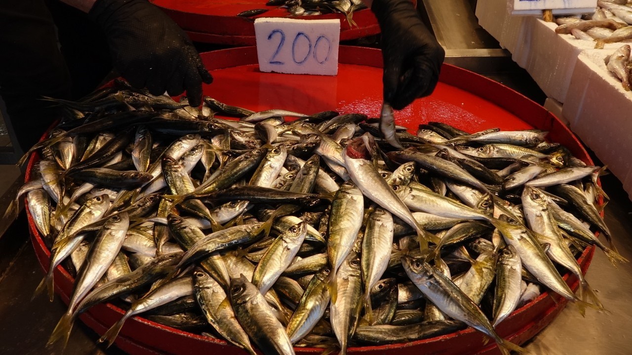 Foto - Karadeniz’de balık bereketi! Av yasağı bitti, tezgahlar şenlendi
