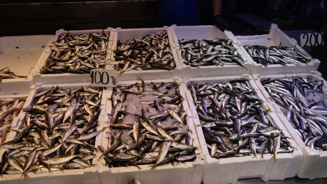 Foto - Karadeniz’de balık bereketi! Av yasağı bitti, tezgahlar şenlendi