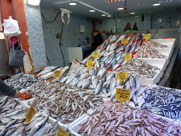 Foto - Karadeniz'de balıkçıların kabusu oldu! 