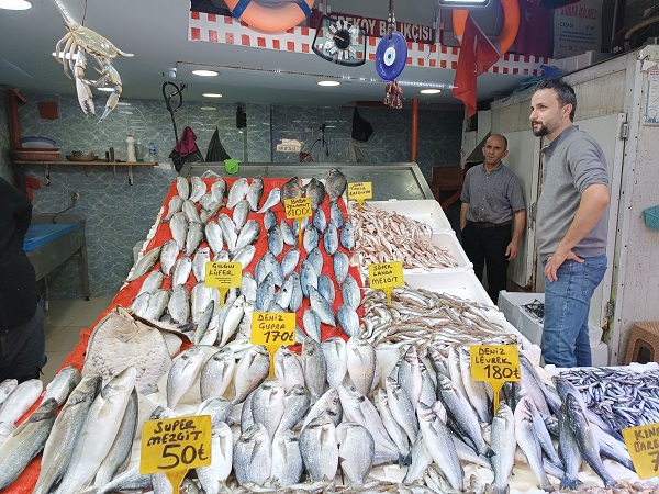 Foto - Karadeniz'de balıkçıların kabusu oldu! 