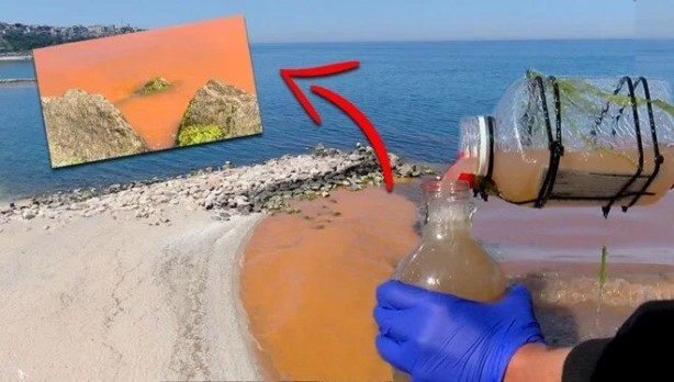 Karadeniz'de endişelendiren görüntü! 'İlk defa gördük'