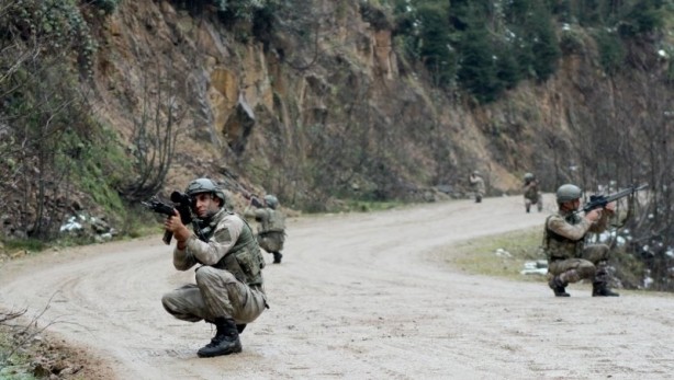 Foto - Karadeniz'de hainlere göz açtırmıyorlar!