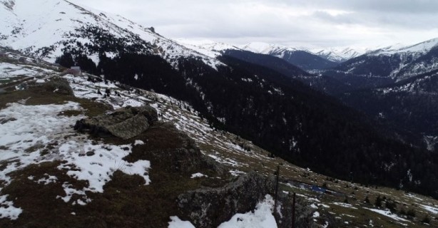 Foto - Karadeniz'de hainlere göz açtırmıyorlar!