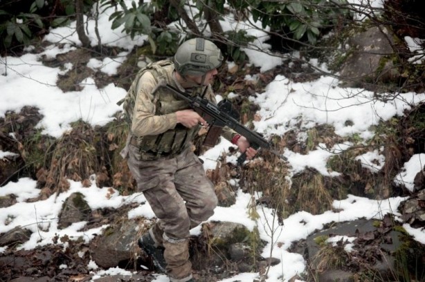 Foto - Karadeniz'de hainlere göz açtırmıyorlar!