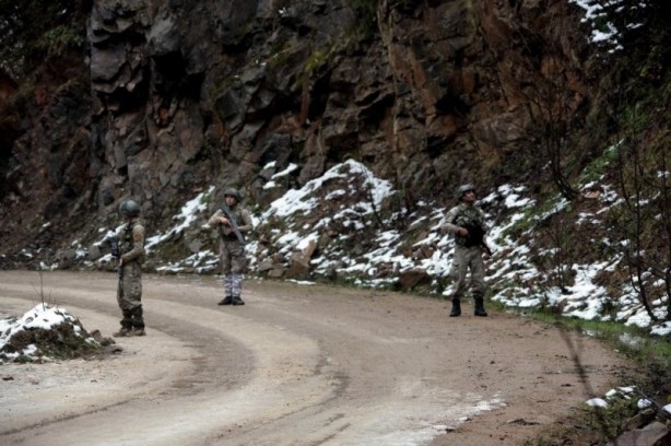 Foto - Karadeniz'de hainlere göz açtırmıyorlar!