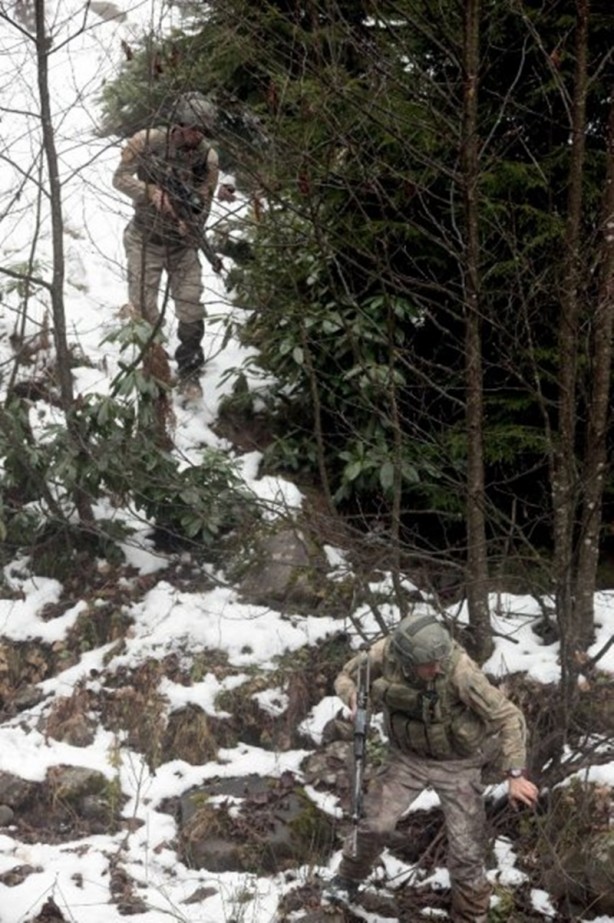 Foto - Karadeniz'de hainlere göz açtırmıyorlar!