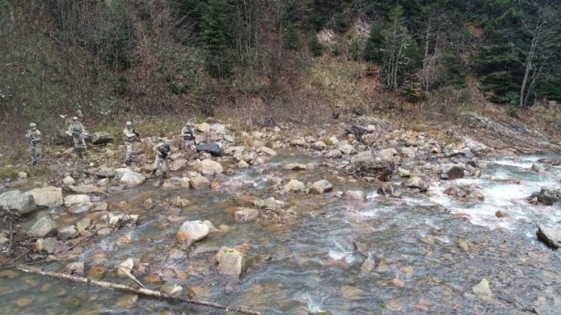 Foto - Karadeniz'de hainlere göz açtırmıyorlar!