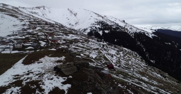 Foto - Karadeniz'de hainlere göz açtırmıyorlar!