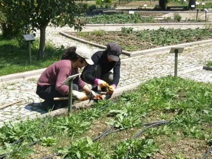 Foto - Karadeniz’de kene vakası! Bir kişi hayatını kaybetti