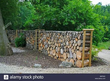 Foto - Karadeniz’de kene vakası! Bir kişi hayatını kaybetti