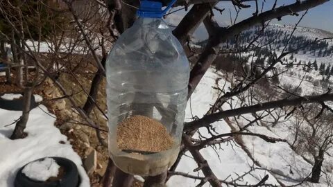 Foto - Karadeniz’de kene vakası! Bir kişi hayatını kaybetti