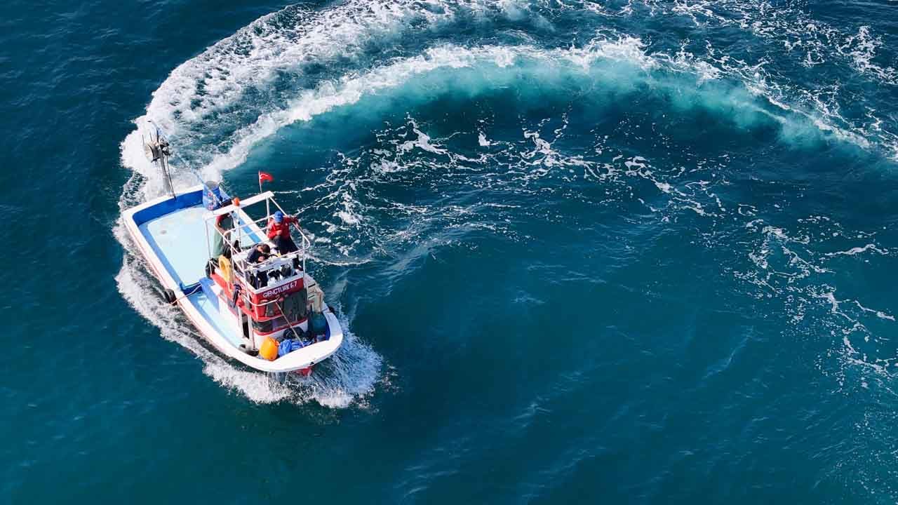 Karadeniz’de palamut bereketi: Ağlar ağırlaştı, tezgahlar şenlendi