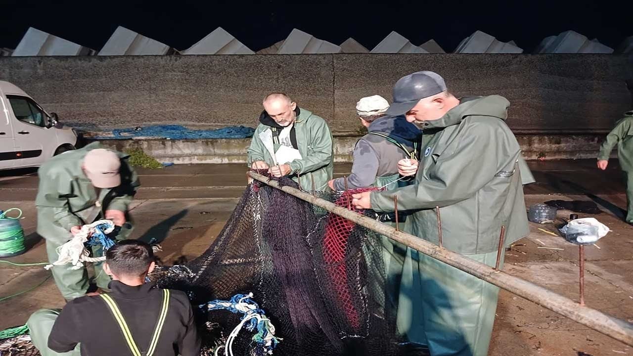 Karadeniz'de palamut bereketi ağları patlattı! Balıkçılar ekmek teknesi için balığa çıktı