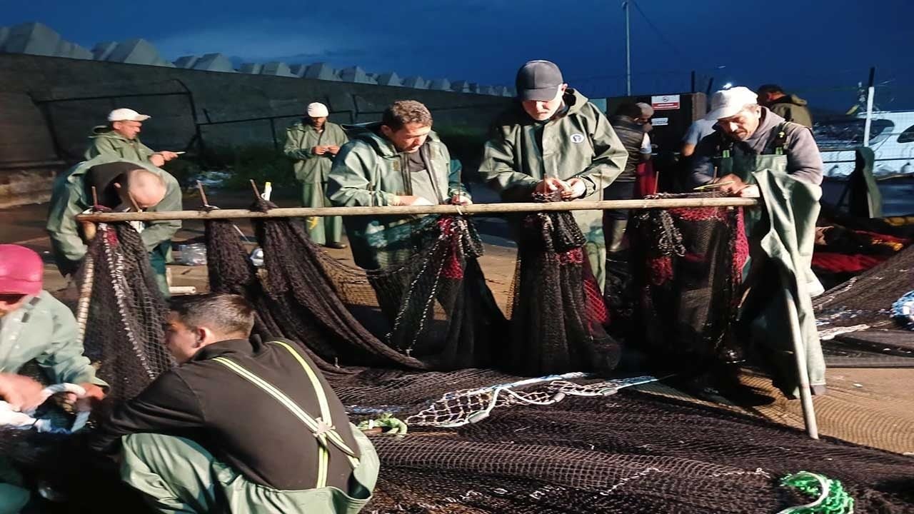 Foto - Karadeniz'de palamut bereketi ağları patlattı! Balıkçılar ekmek teknesi için balığa çıktı