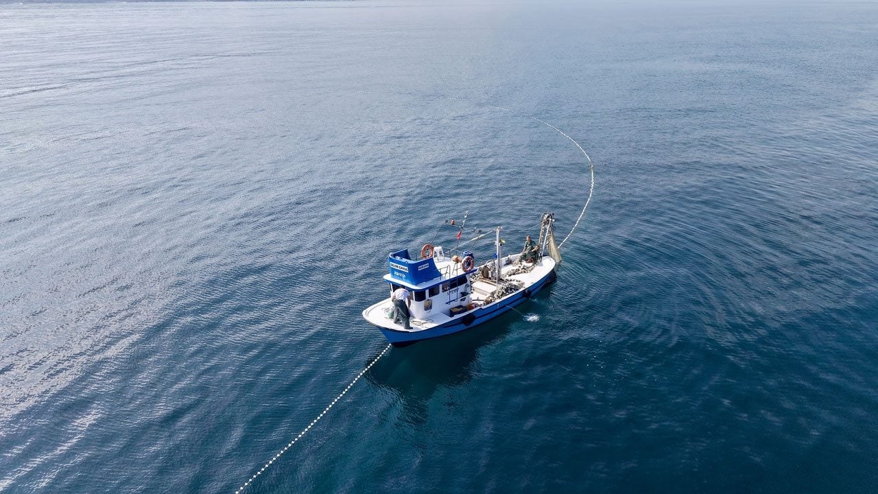 Karadeniz’de palamut bereketi! Balıkçılar kasalar dolusu avla limana dönüyor
