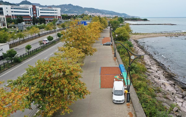 Foto - Karadeniz’de sahiller fındık bahçesine döndü