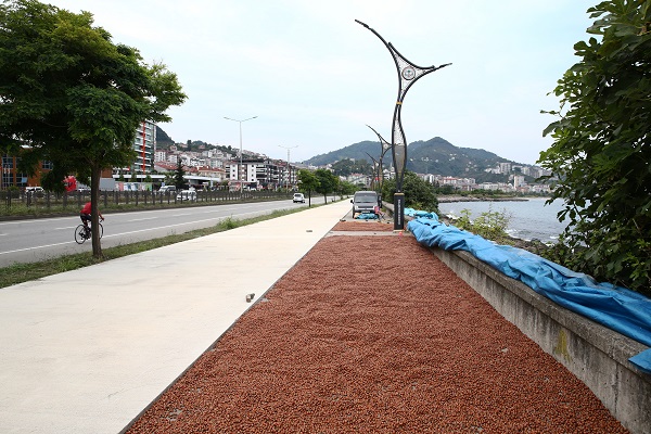 Foto - Karadeniz’de sahiller fındık bahçesine döndü