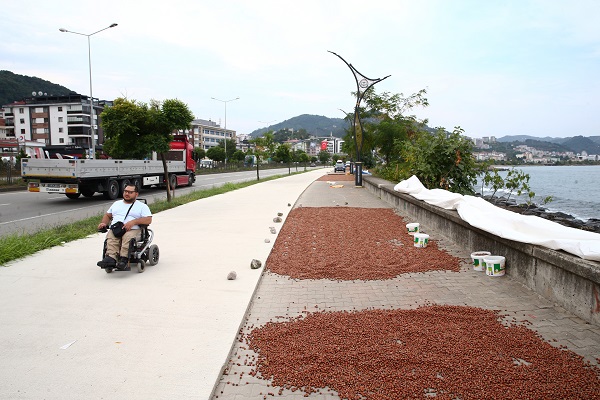 Foto - Karadeniz’de sahiller fındık bahçesine döndü