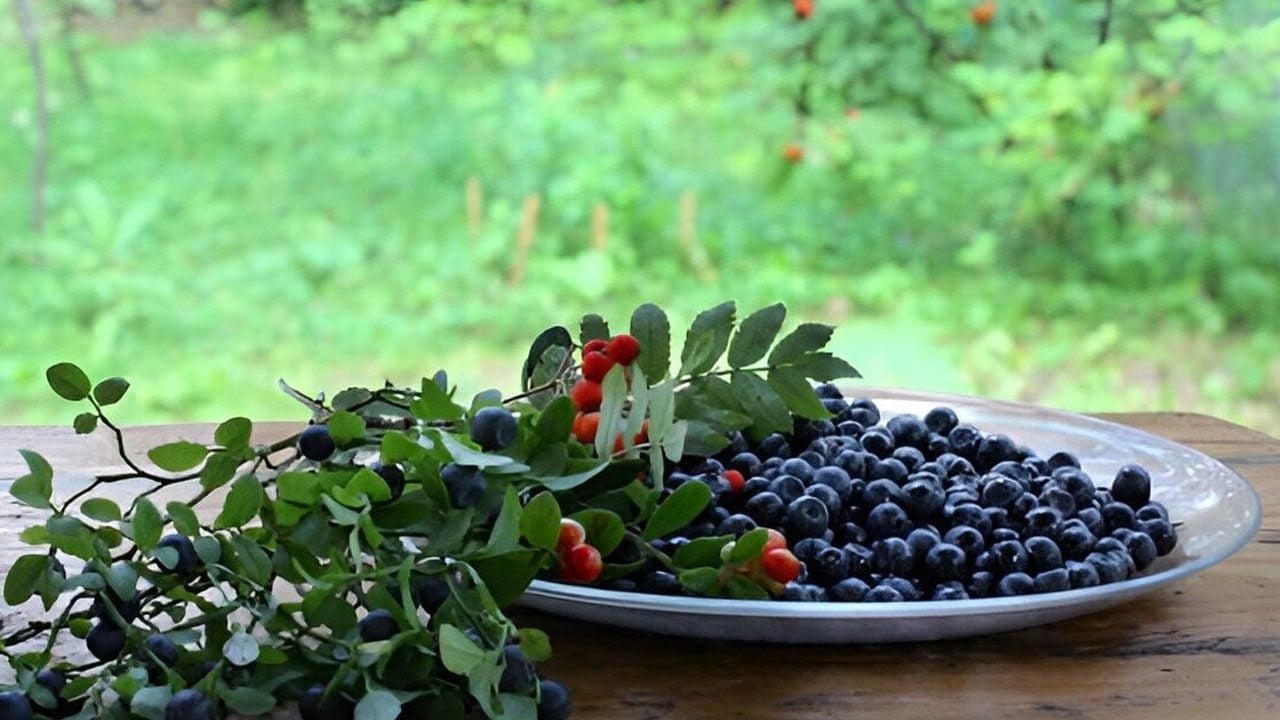 Foto - Karadeniz’de sır gibi saklanan, faydası saymakla bitmeyen o mucizevi gıda: Diz ağrısı kesilmez ise bunu yapın