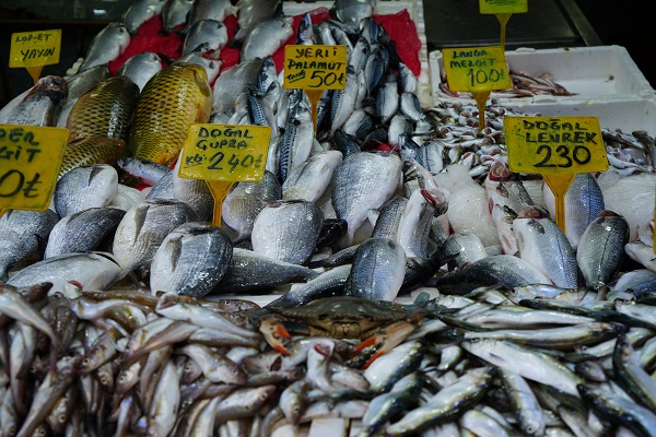 Foto - Karadeniz'de yeni tehlike