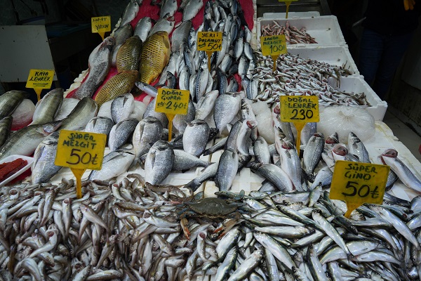 Foto - Karadeniz'de yeni tehlike