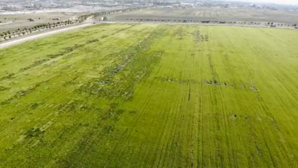 Foto - Karadeniz'den çıkan doğal gazla kurulacak! Üçte ikisi karşılanacak! Büyük sevinç var