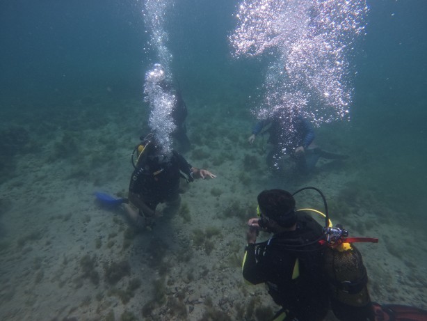 Foto - Karadeniz'den heyecanlandıran haber